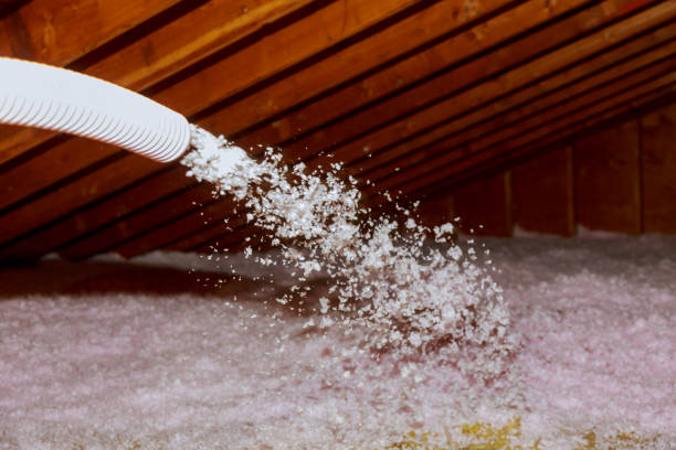 Best Insulation Replacement Services  in Meadowlakes, TX