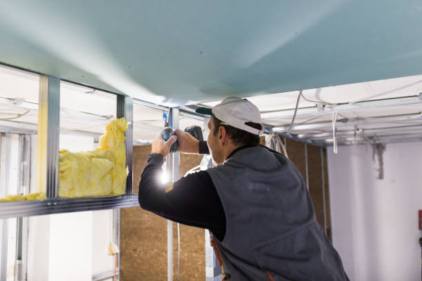 Best Insulation Removal  in Meadowlakes, TX