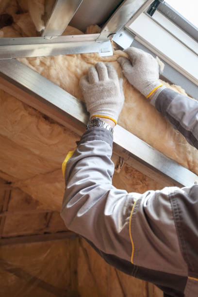 Best Insulation Repair Services  in Meadowlakes, TX
