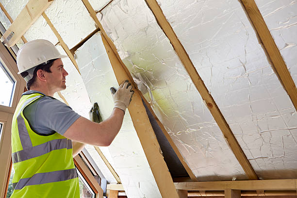 Best Fiberglass Insulation  in Meadowlakes, TX