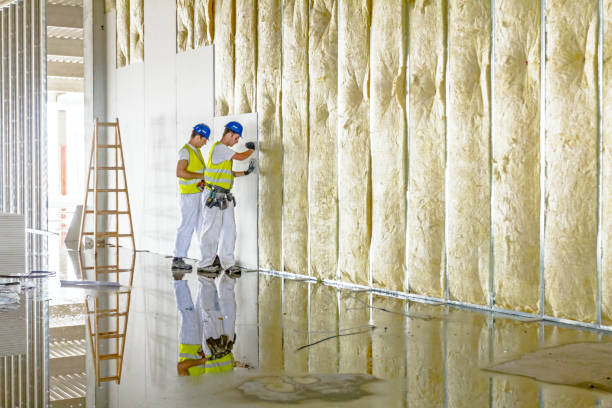Best Spray Foam Insulation  in Meadowlakes, TX